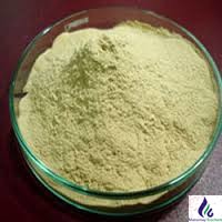 Casein Protein Hydrolysate