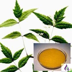Neem Oil