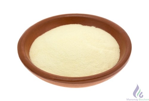 Papain Powder