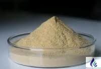 Peptone Powder - Image 2