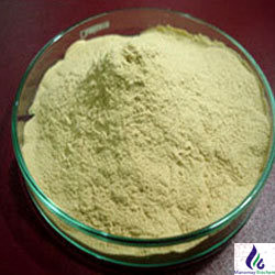 Protein Hydrolysates