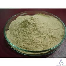 Yeast Extract Powder - Image 2