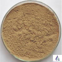 Yucca Powder - Image 3